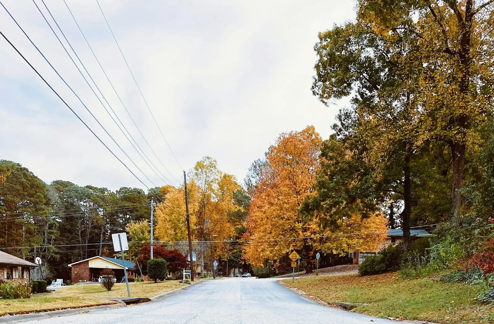 A quiet suburban street in autumn with brick ranch houses and tall pines
